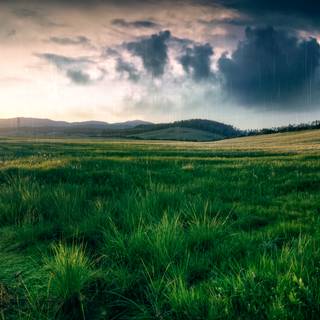 Spring time field wallpaper