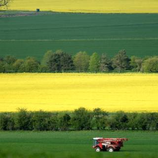 Spring time field wallpaper
