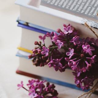 Reading spring wallpaper