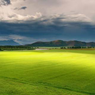 Spring time field wallpaper