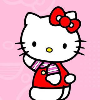 Valentines cat iPhone wallpaper