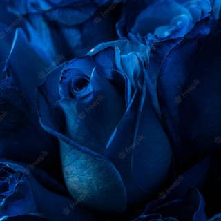 Pretty Valentine Day blue wallpaper