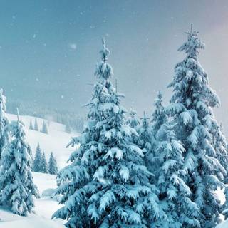 8k winter mobile wallpaper