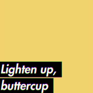 Hippo Campus wallpaper