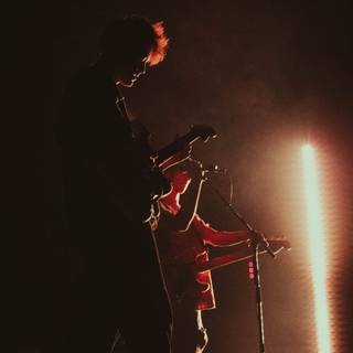 Hippo Campus wallpaper