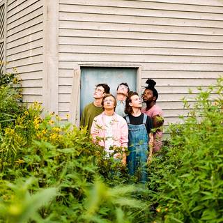 Hippo Campus wallpaper