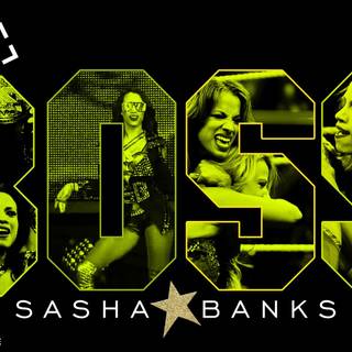 WWE Banks desktop wallpaper