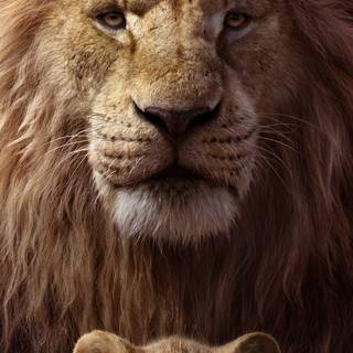 Lion King iPhone wallpaper