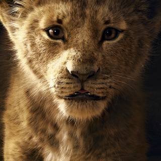 Lion King iPhone wallpaper