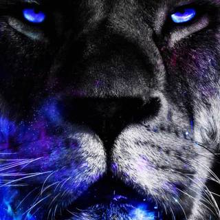 Lion King iPhone wallpaper