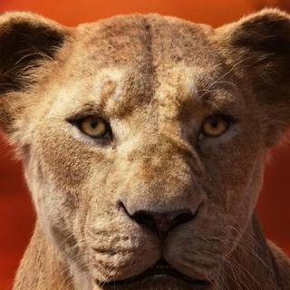 Lion King iPhone wallpaper