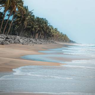 Kerala beach wallpaper