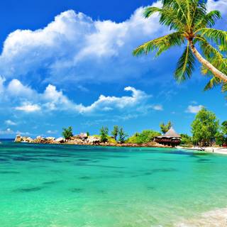 Kerala beach wallpaper