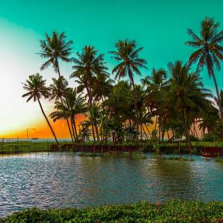 Kerala beach wallpaper