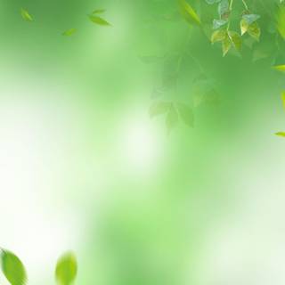 Green banner wallpaper