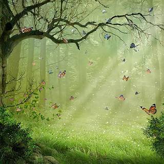 Green banner wallpaper