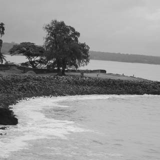 Kerala beach wallpaper