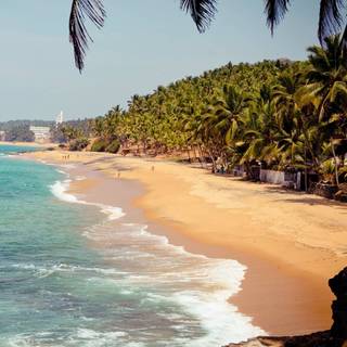 Kerala beach wallpaper