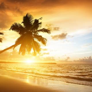 Kerala beach wallpaper