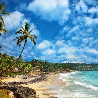 Kerala beach wallpaper