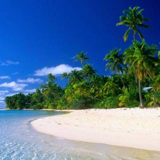 Kerala beach wallpaper