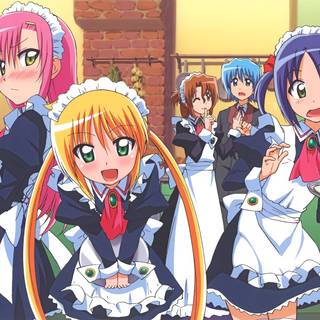 Hayate No Gotoku wallpaper