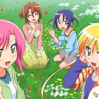 Hayate No Gotoku wallpaper