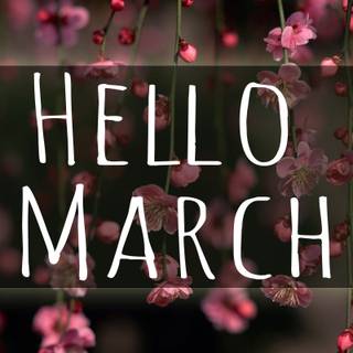 Hello March wallpaper