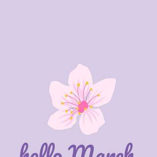 Hello March wallpaper