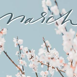 Hello March wallpaper