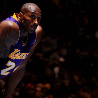 Lakers players wallpaper