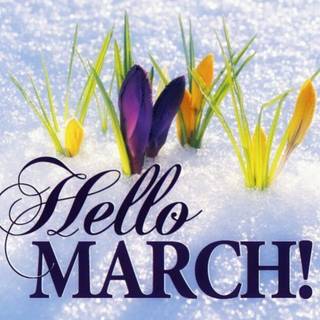 Hello March wallpaper