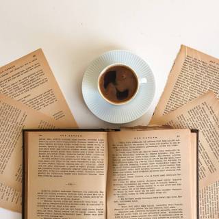 Coffee color preppy wallpaper