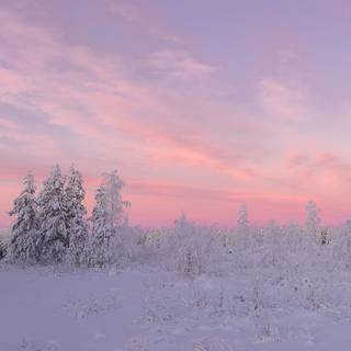 Winter aesthetic HD wallpaper