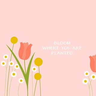 Spring floral laptop wallpaper