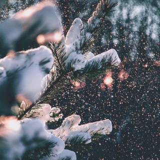 Winter aesthetic HD wallpaper
