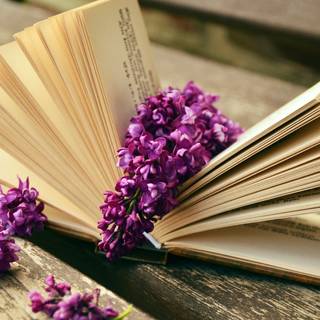 Spring and books wallpaper