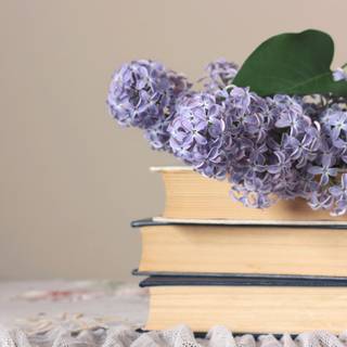 Spring and books wallpaper