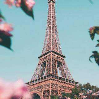 Spring Paris phone wallpaper