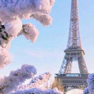 Spring Paris phone wallpaper