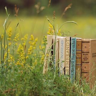 Spring and books wallpaper