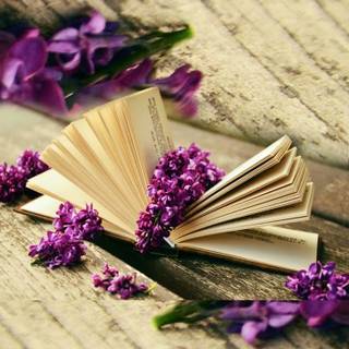 Spring and books wallpaper