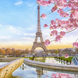 Paris spring computer wallpaper