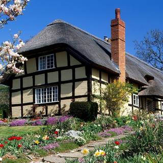 Cozy spring PC wallpaper