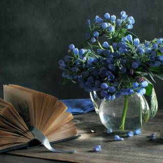 Spring and books wallpaper