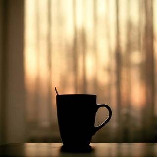 Cozy spring PC wallpaper