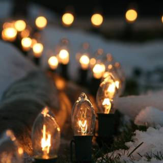 Winter snow lights wallpaper
