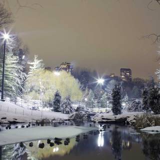 Winter snow lights wallpaper