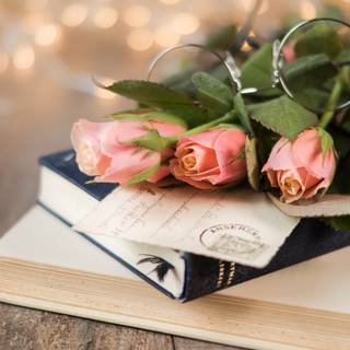 Spring and books wallpaper