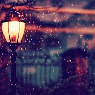 Winter snow lights wallpaper